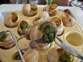 Les escargots de Bourgogne