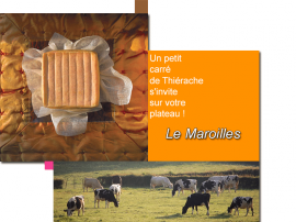 Maroilles