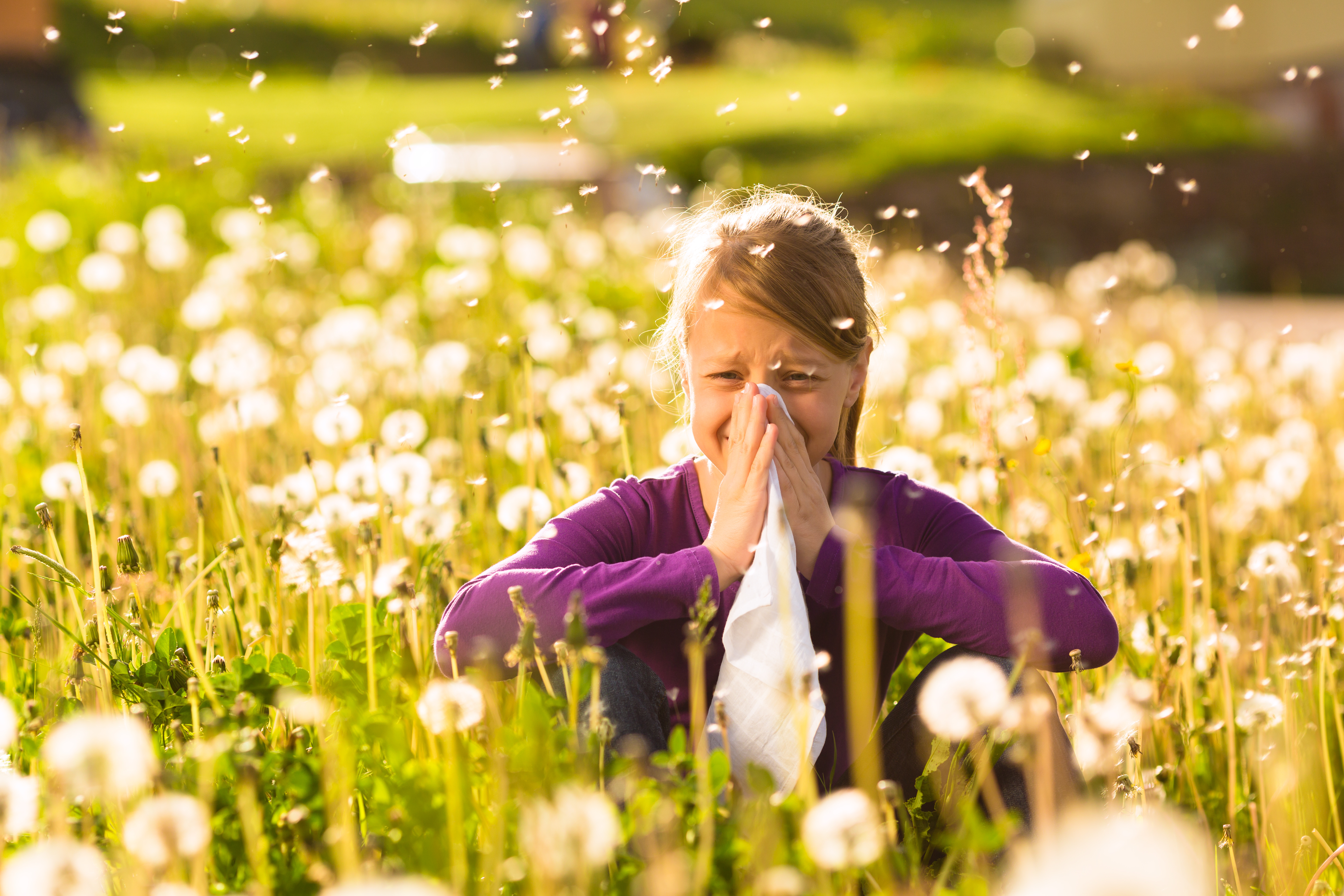 Éviter les crises d'allergie au pollen en 8 trucs