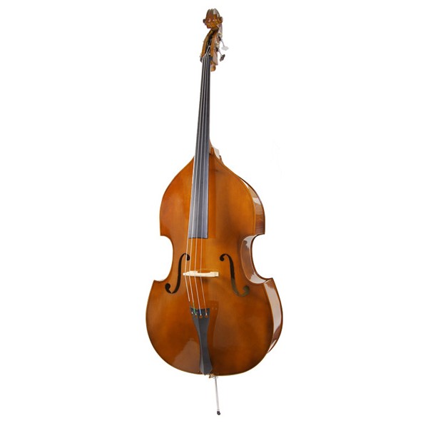 Les principaux instruments de musique classique : cordes